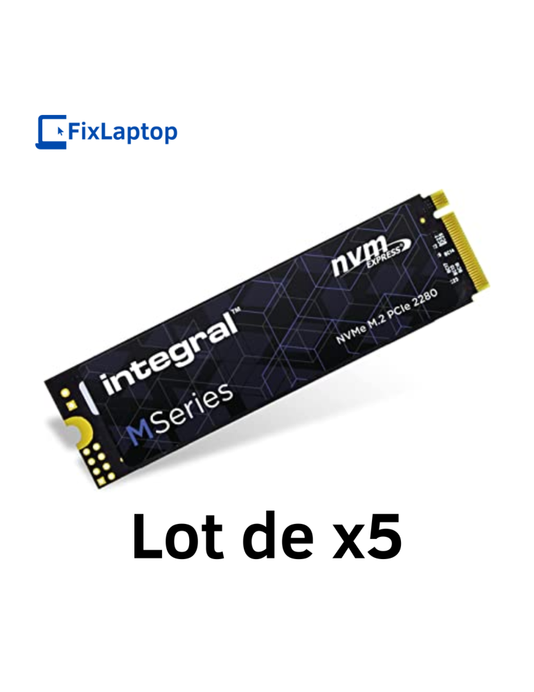 Lot de 5 Nvme 256Go Integral