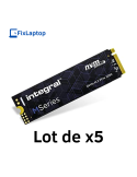 Lot de 5 Nvme 256Go Integral
